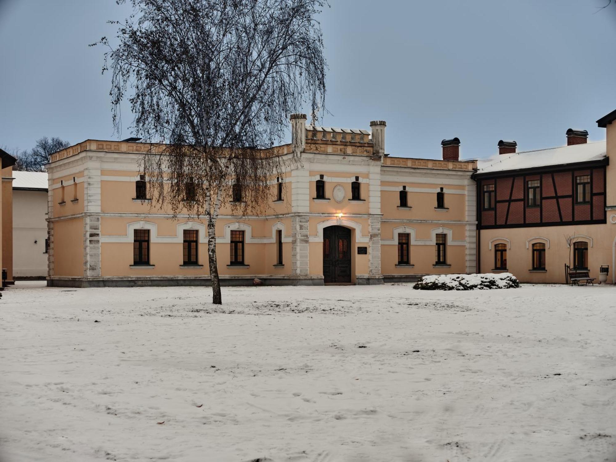 Palac Potockich W Bedlewie Bedlewo Esterno foto