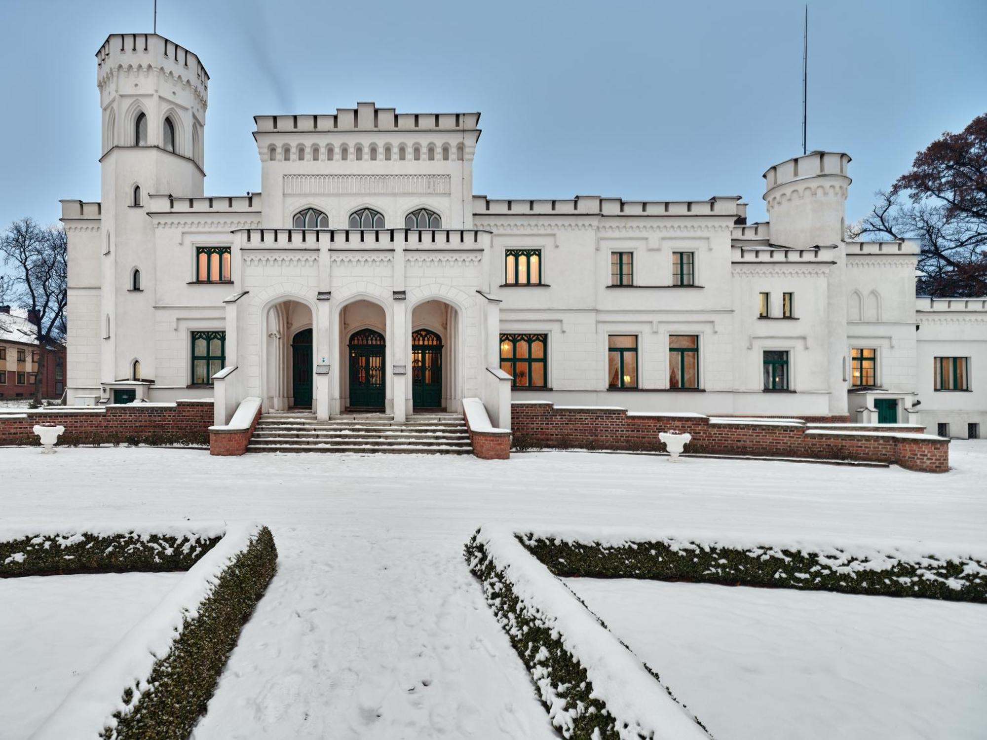 Palac Potockich W Bedlewie Bedlewo Esterno foto